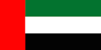 Flag of the United Arab Emirates.svg.png