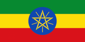 Flag of Ethiopia.svg.png