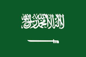 Flag of Saudi Arabia.svg.png