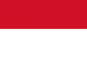 File:Flag of Indonesia.svg.png