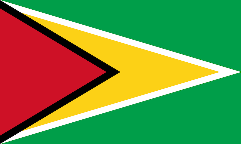 File:Flag of Guyana.svg.png