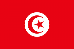 File:Flag of Tunisia.svg.png