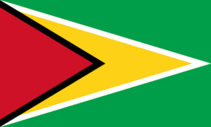 Flag of Guyana.svg.png